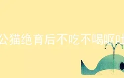 公猫绝育后不吃不喝呕吐