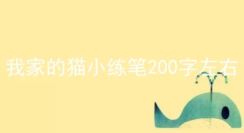 我家的猫小练笔200字左右