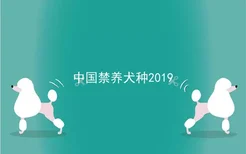 中国禁养犬种2019