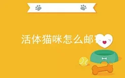 活体猫咪怎么邮寄