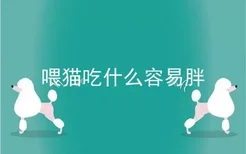 喂猫吃什么容易胖