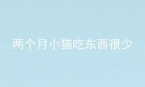 两个月小猫吃东西很少