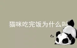 猫咪吃完饭为什么叫