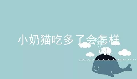 小奶猫吃多了会怎样