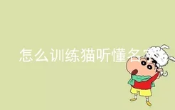 怎么训练猫听懂名字