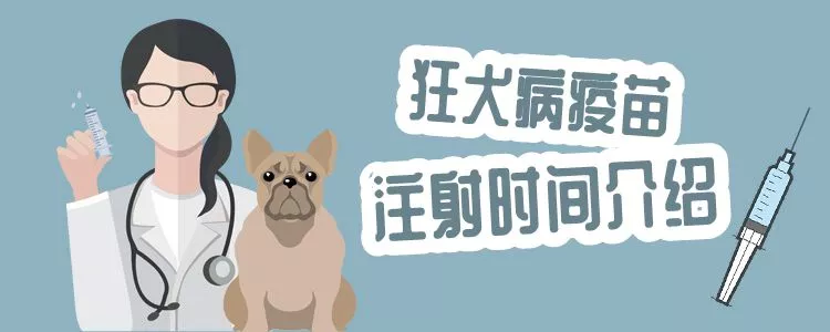 狂犬病疫苗注射时间介绍