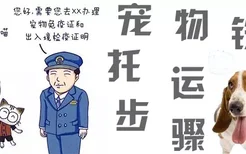 宠物铁路托运步骤