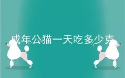 成年公猫一天吃多少克