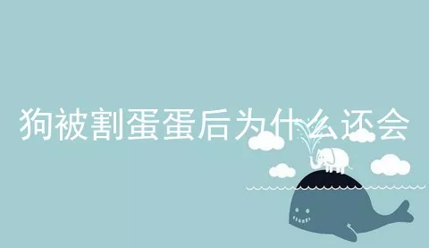 狗被割蛋蛋后为什么还会