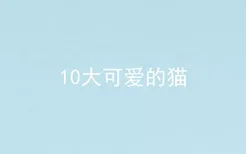 10大可爱的猫