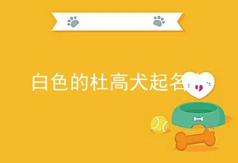 白色的杜高犬起名字