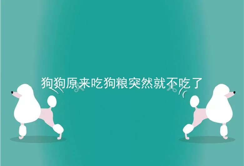 狗狗原来吃狗粮突然就不吃了