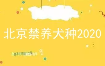 北京禁养犬种2020