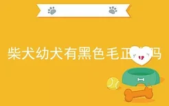 柴犬幼犬有黑色毛正常吗