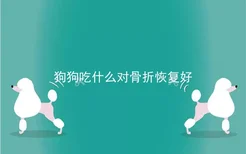 狗狗吃什么对骨折恢复好