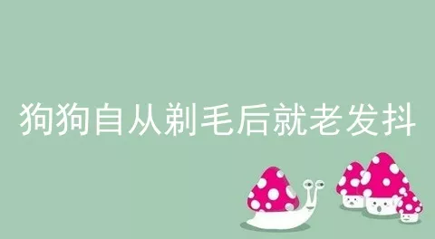 狗狗自从剃毛后就老发抖