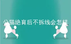 公猫绝育后不拆线会怎样