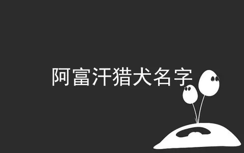 阿富汗猎犬名字