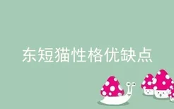 东短猫性格优缺点