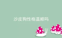 沙皮狗性格温顺吗