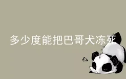 多少度能把巴哥犬冻死