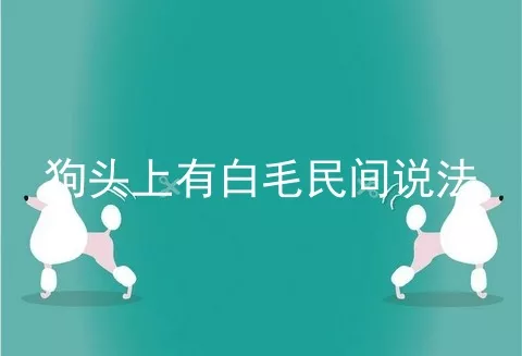 狗头上有白毛民间说法