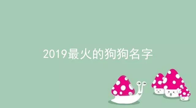 2019最火的狗狗名字