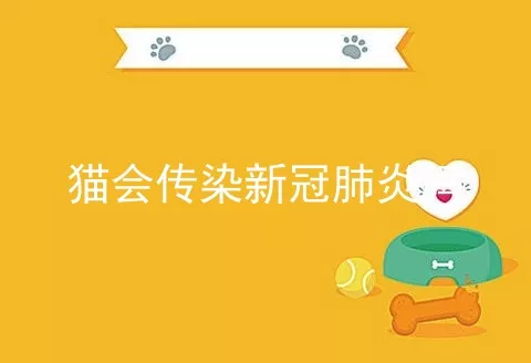 猫会传染新冠肺炎吗