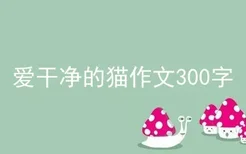 爱干净的猫作文300字