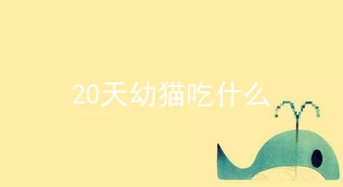 20天幼猫吃什么