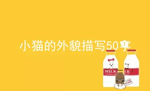 小猫的外貌描写50字