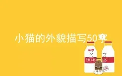 小猫的外貌描写50字