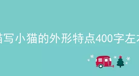 描写小猫的外形特点400字左右