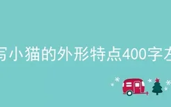 描写小猫的外形特点400字左右