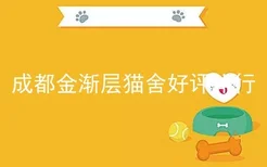 成都金渐层猫舍好评排行