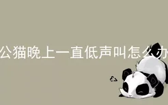 公猫晚上一直低声叫怎么办