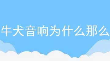 斗牛犬音响为什么那么贵