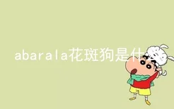 abarala花斑狗是什么