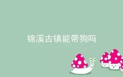 锦溪古镇能带狗吗