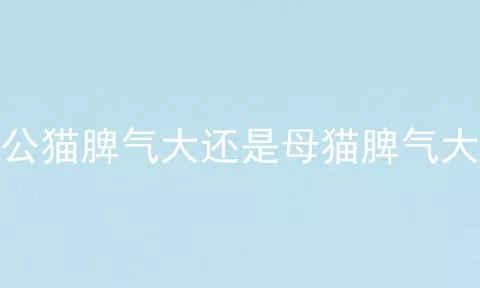 公猫脾气大还是母猫脾气大