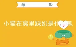 小猫在窝里踩奶是什么鬼