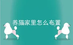 养猫家里怎么布置