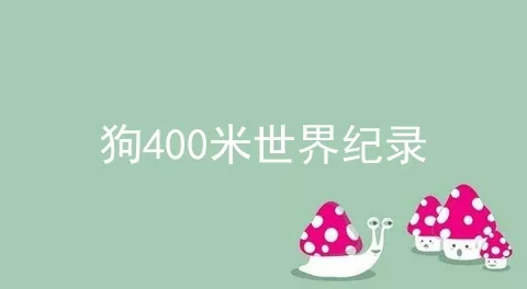 狗400米世界纪录