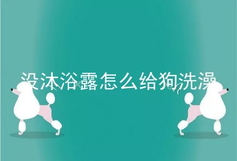 没沐浴露怎么给狗洗澡