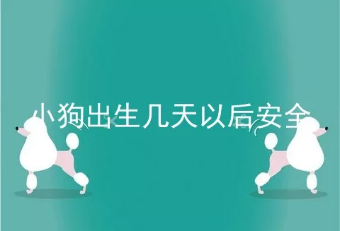 小狗出生几天以后安全