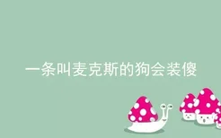 一条叫麦克斯的狗会装傻