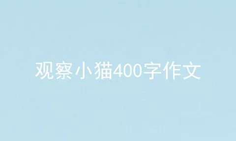 观察小猫400字作文