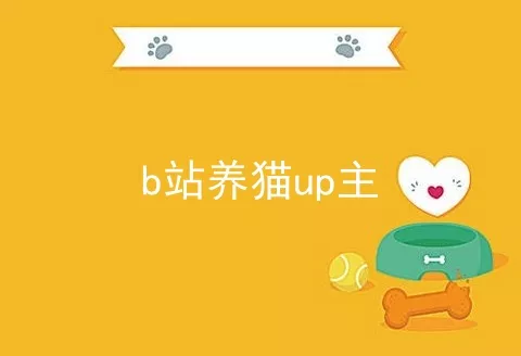 b站养猫up主