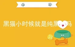 黑猫小时候就是纯黑的吗