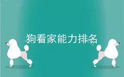 狗看家能力排名